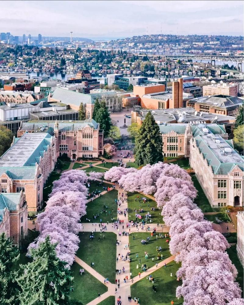 纽约州立大学宾汉姆顿分校